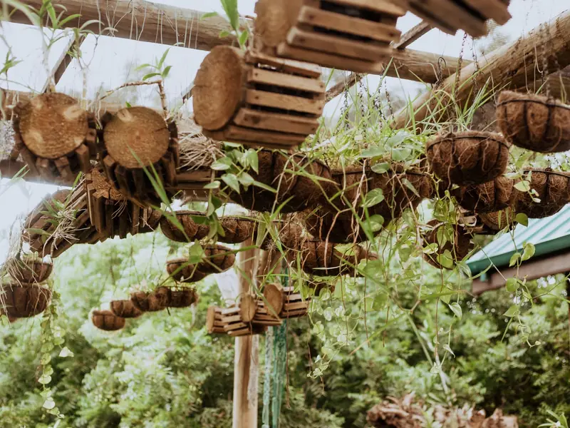 Hanging planters made from coconut coir (representative image)
